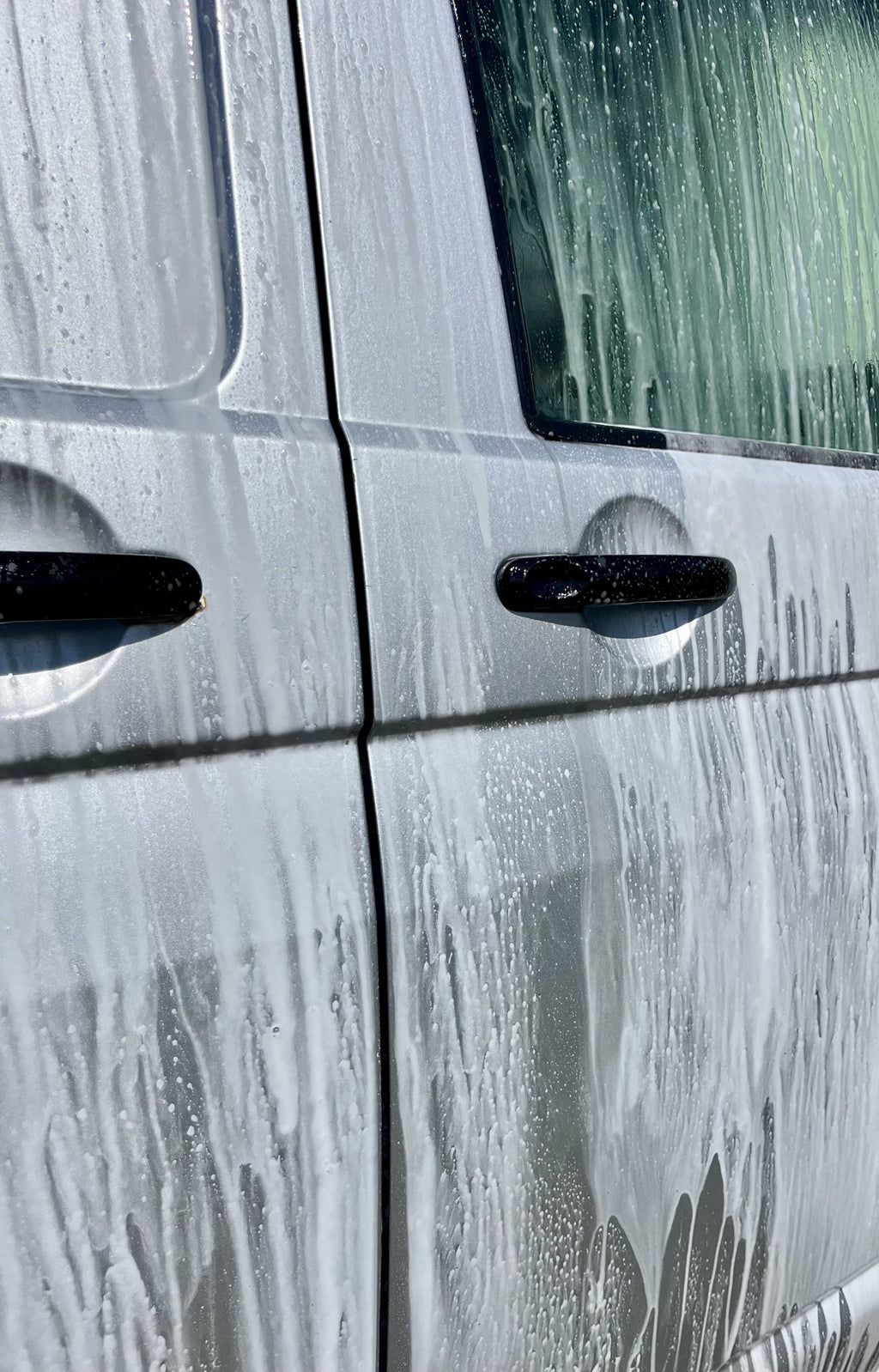 Degreasing Shampoo